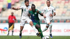 亚锦赛盛装舞步泰国主场夺魁，中国骑手独揽最高分